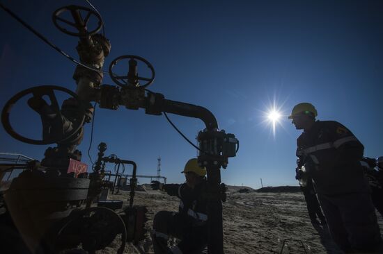 RN-Purneftegaz Company in Yamal-Nenets Autonomous District