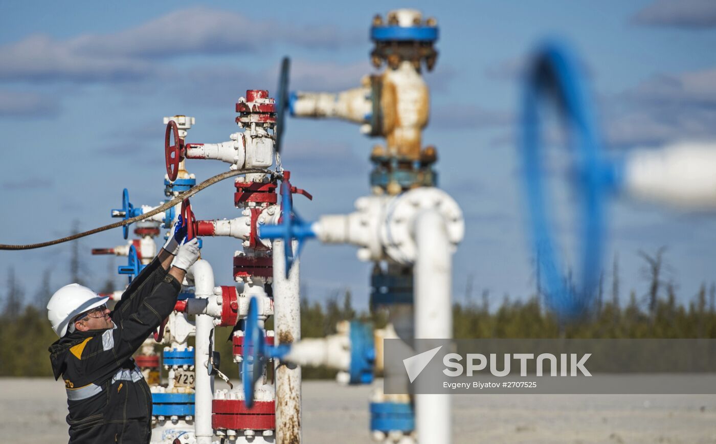 RN-Purneftegaz Company in Yamal-Nenets Autonomous District