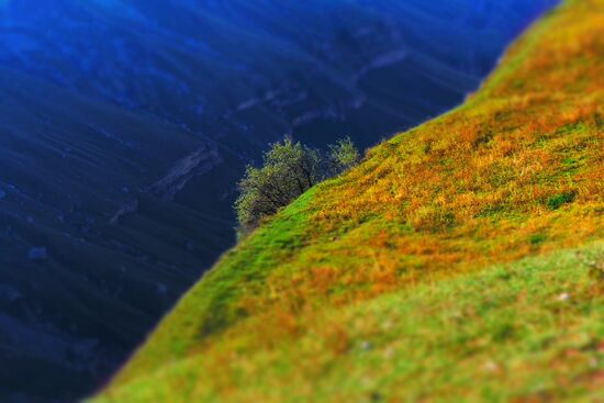 Russian regions. Republic of Dagestan