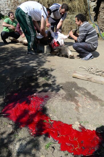 Russian regions. Republic of Dagestan