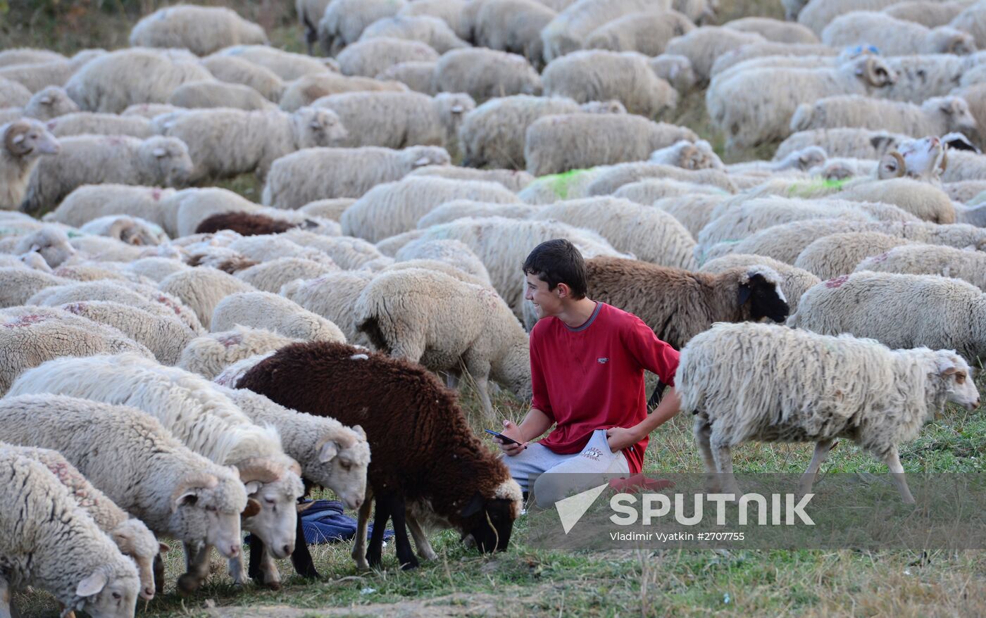 Russian regions. Republic of Dagestan