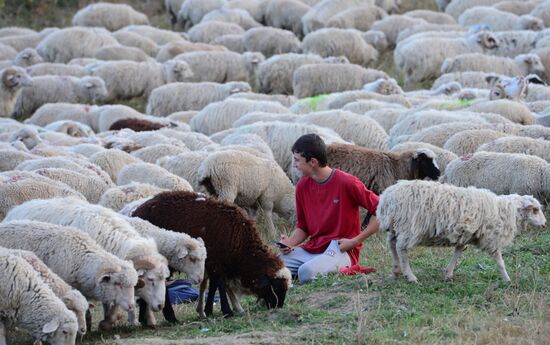 Russian regions. Republic of Dagestan