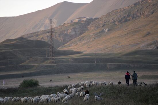 Russian regions. Republic of Dagestan