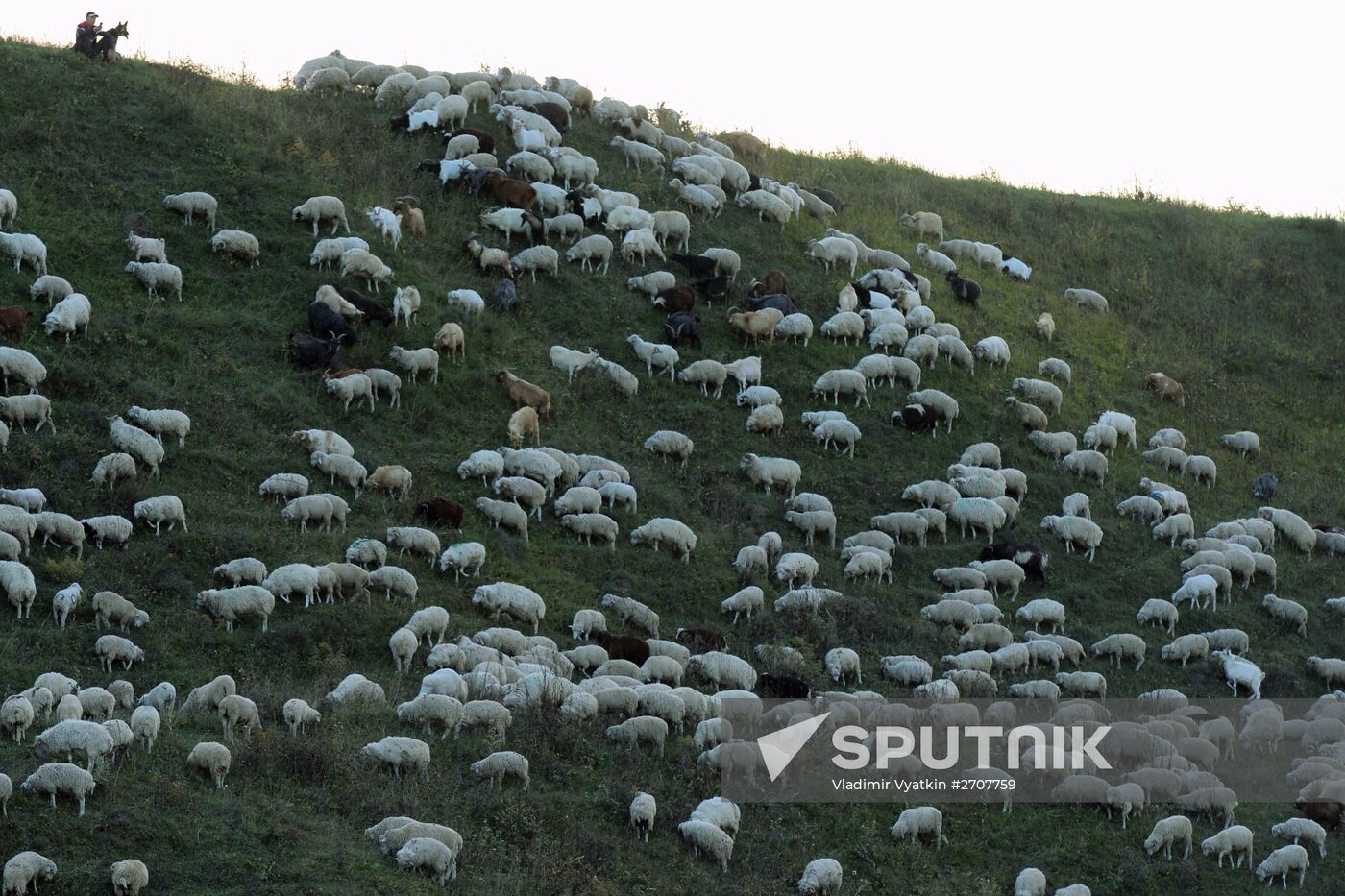 Russian regions. Republic of Dagestan