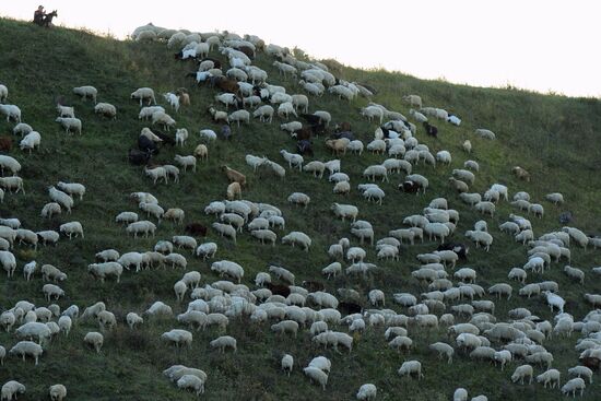 Russian regions. Republic of Dagestan