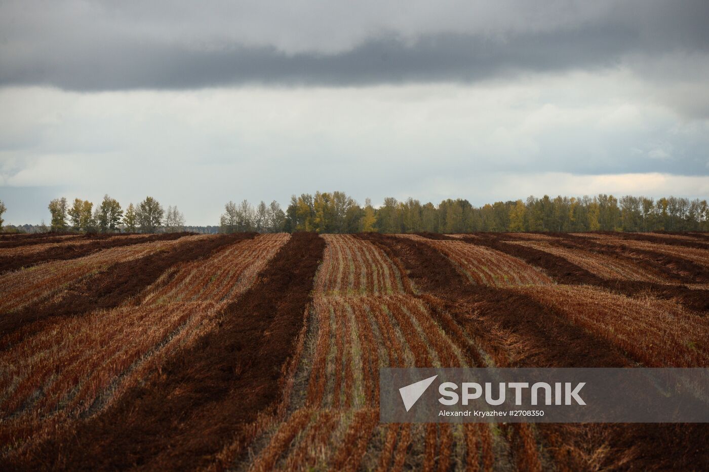 Fall in Siberia