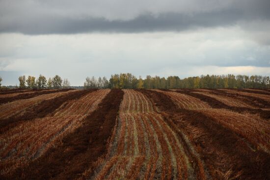Fall in Siberia