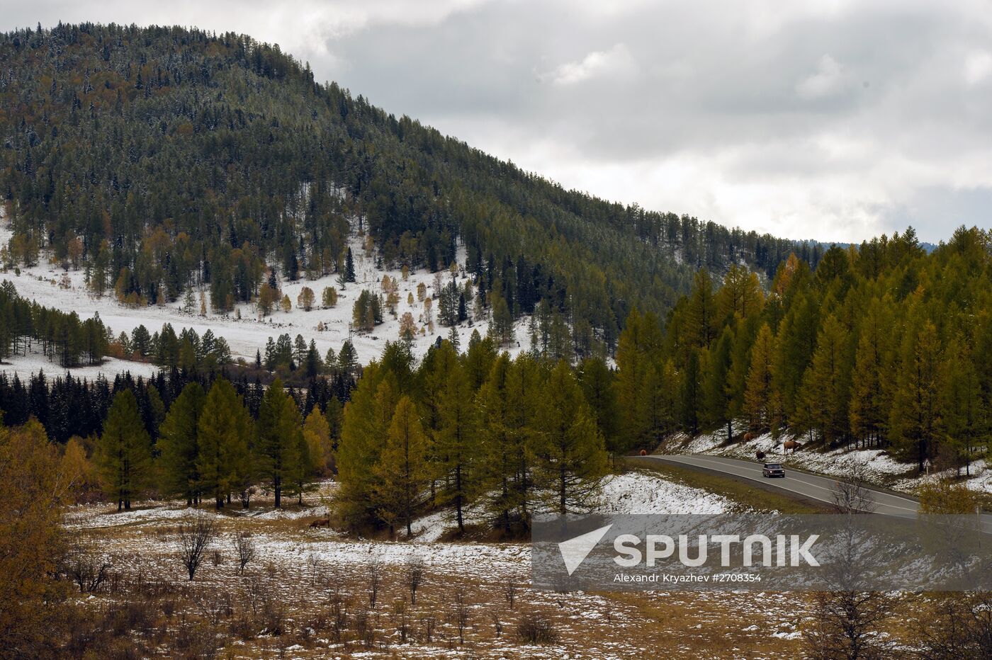 Fall in Siberia