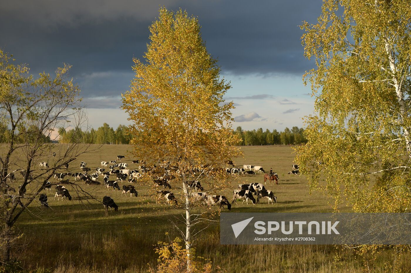 Fall in Siberia