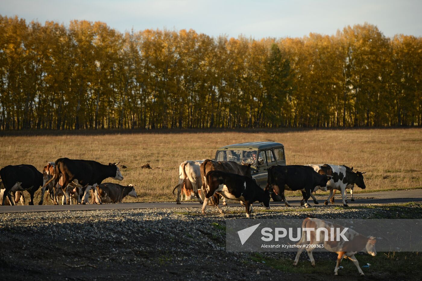 Fall in Siberia