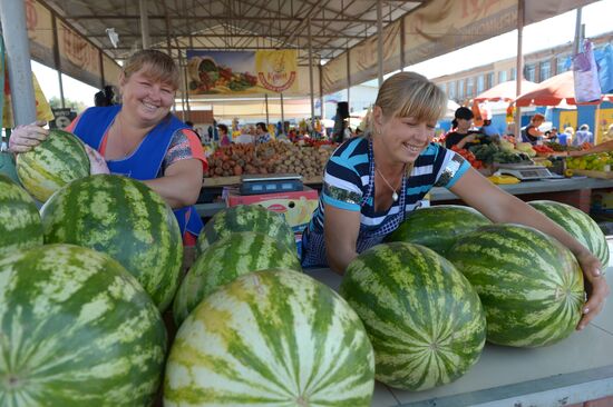 Russian regions. Crimea