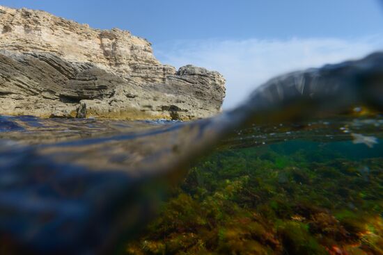 Russian regions. Crimea
