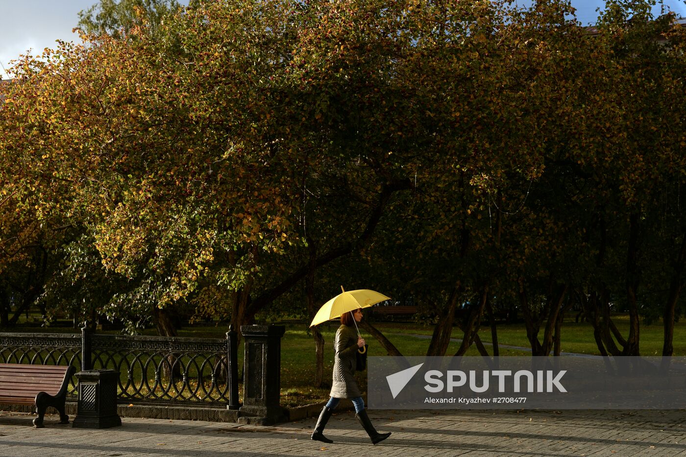 Fall in Siberia