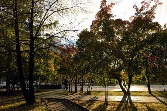 Fall in Siberia