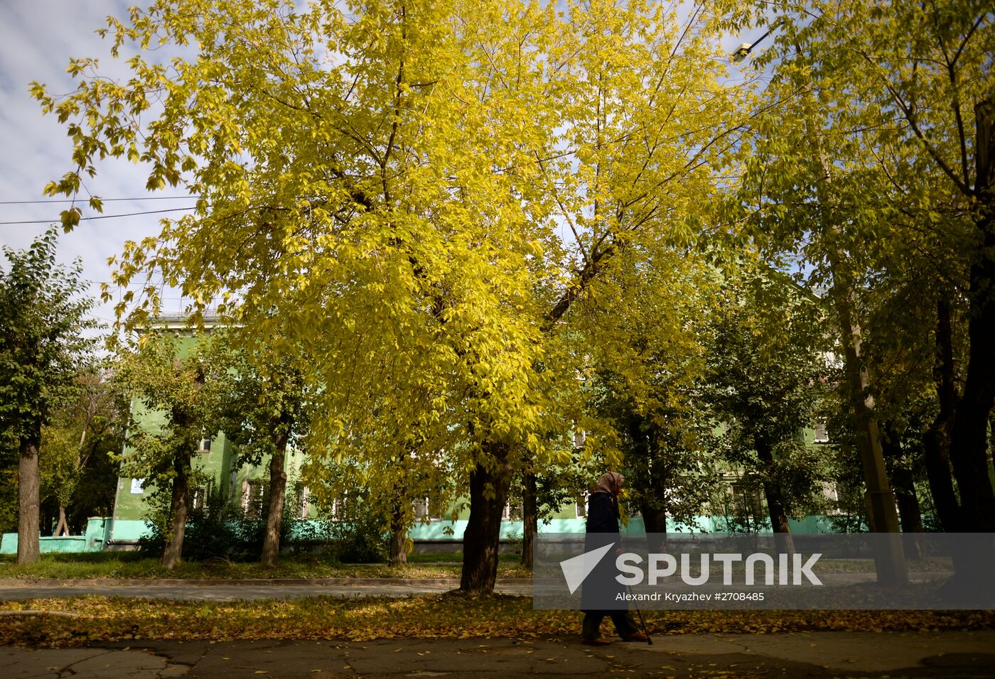 Fall in Siberia