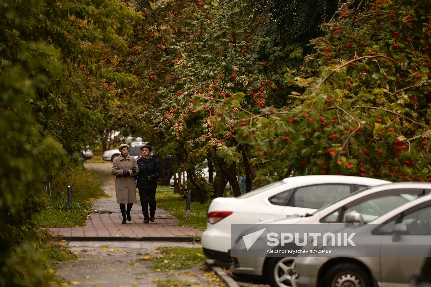 Fall in Siberia