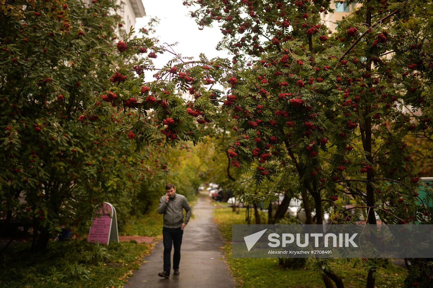 Fall in Siberia