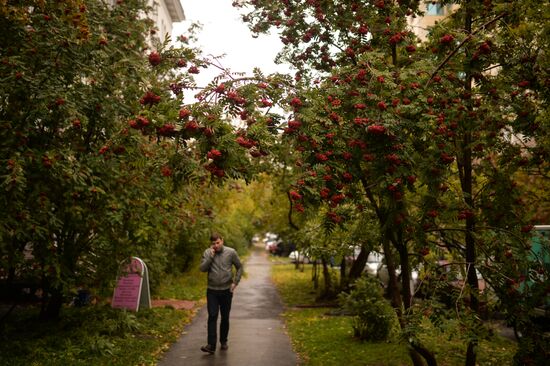 Fall in Siberia