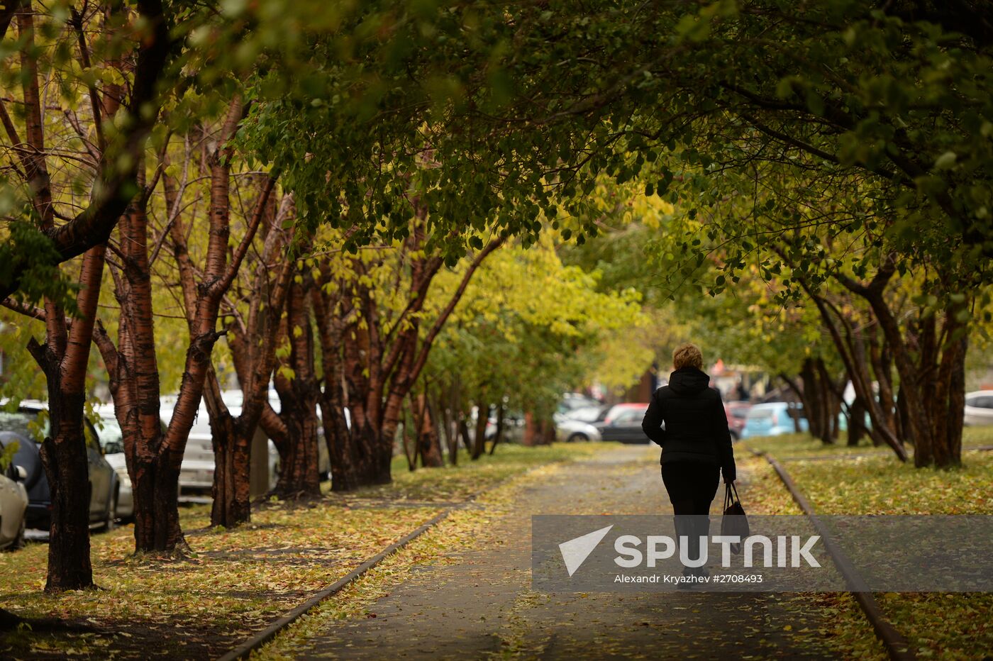 Fall in Siberia