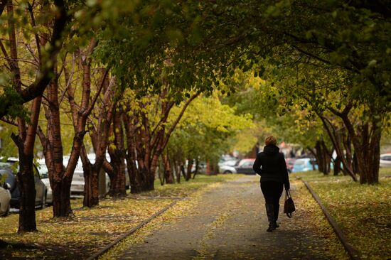 Fall in Siberia