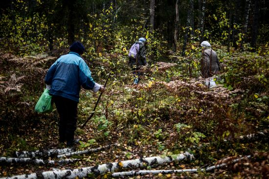 Picking mushrooms in Russia's Novgorod Region