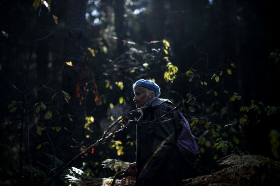 Picking mushrooms in Russia's Novgorod Region