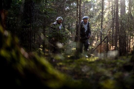 Picking mushrooms in Russia's Novgorod Region