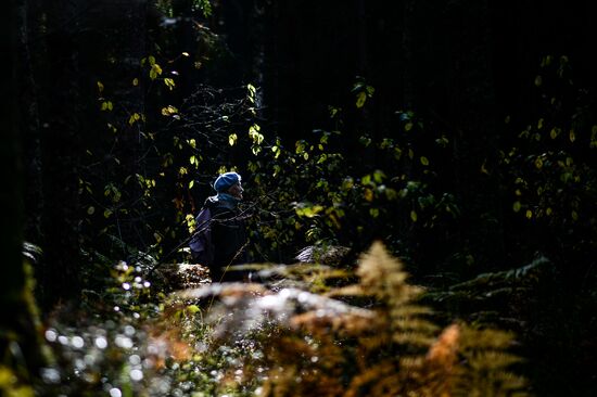 Picking mushrooms in Russia's Novgorod Region