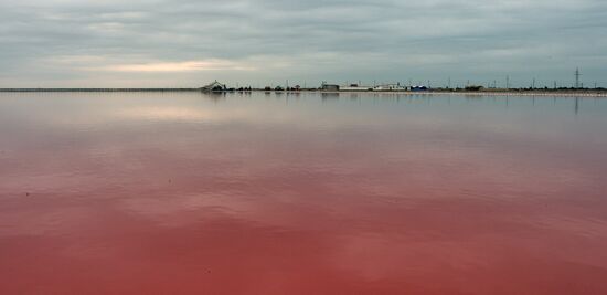 Salt extraxtion in Crimea