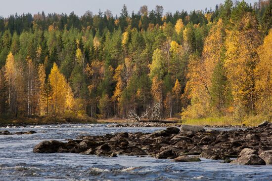 Autumn in Karelia