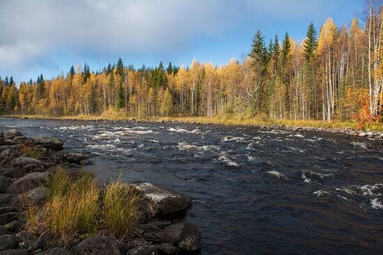 Autumn in Karelia