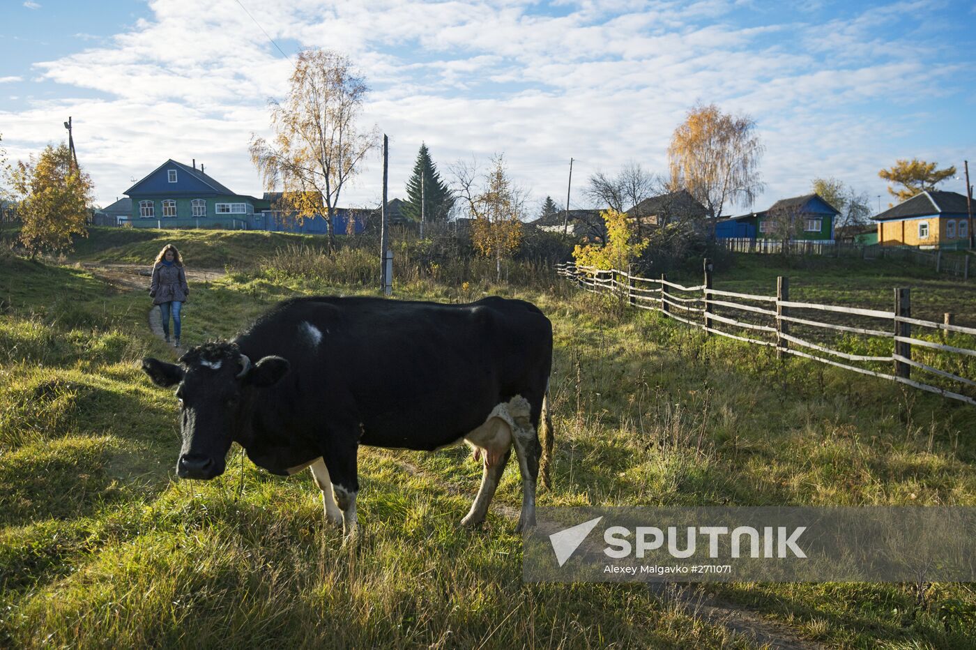 Fall in Omsk Region