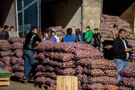 Agricultural fair in Veliky Novgorod