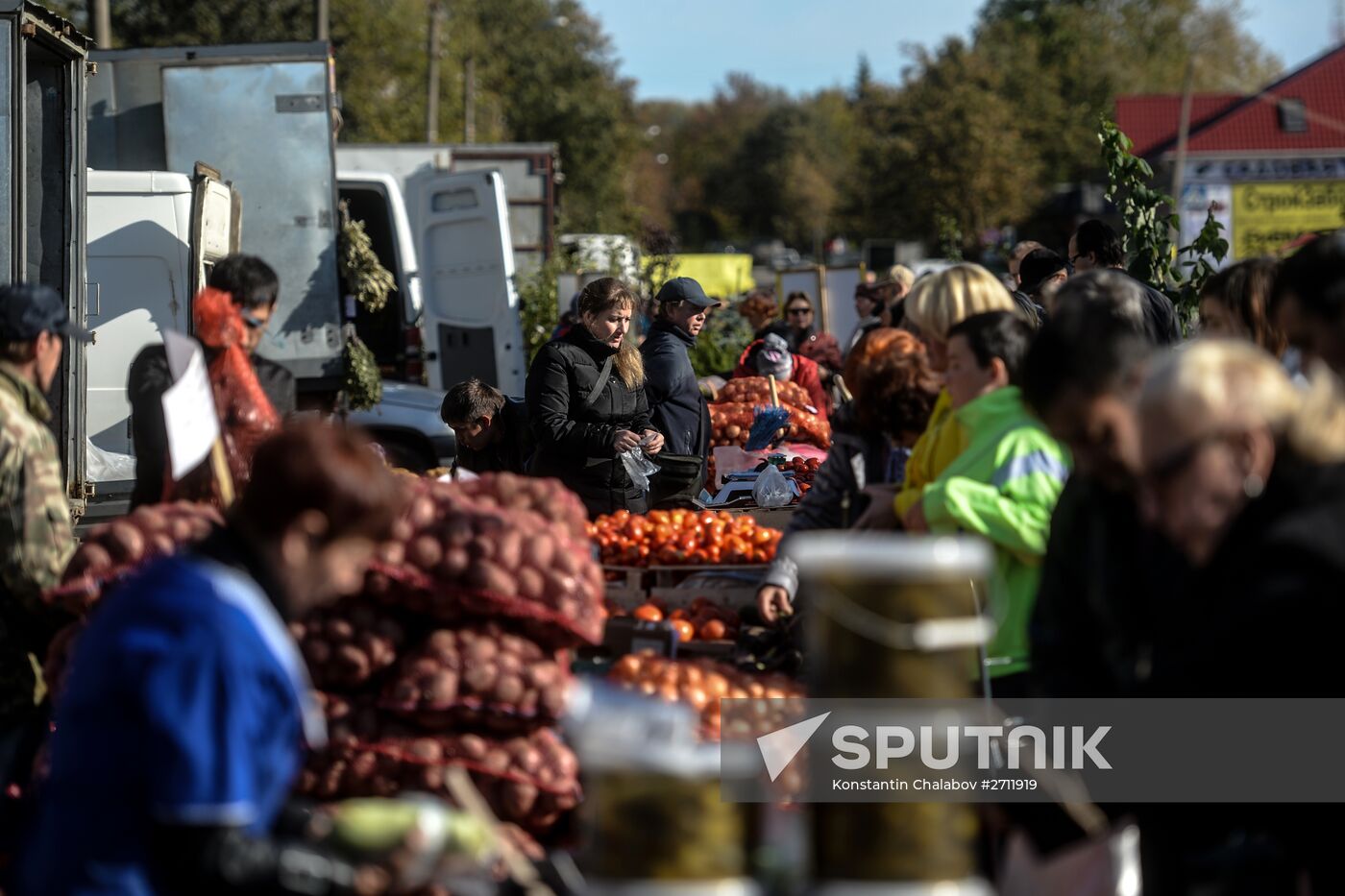 Agricultural fair in Veliky Novgorod