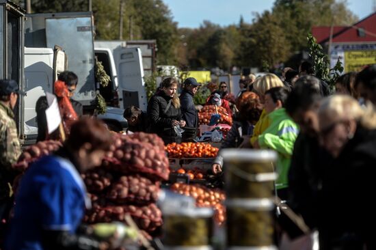 Agricultural fair in Veliky Novgorod