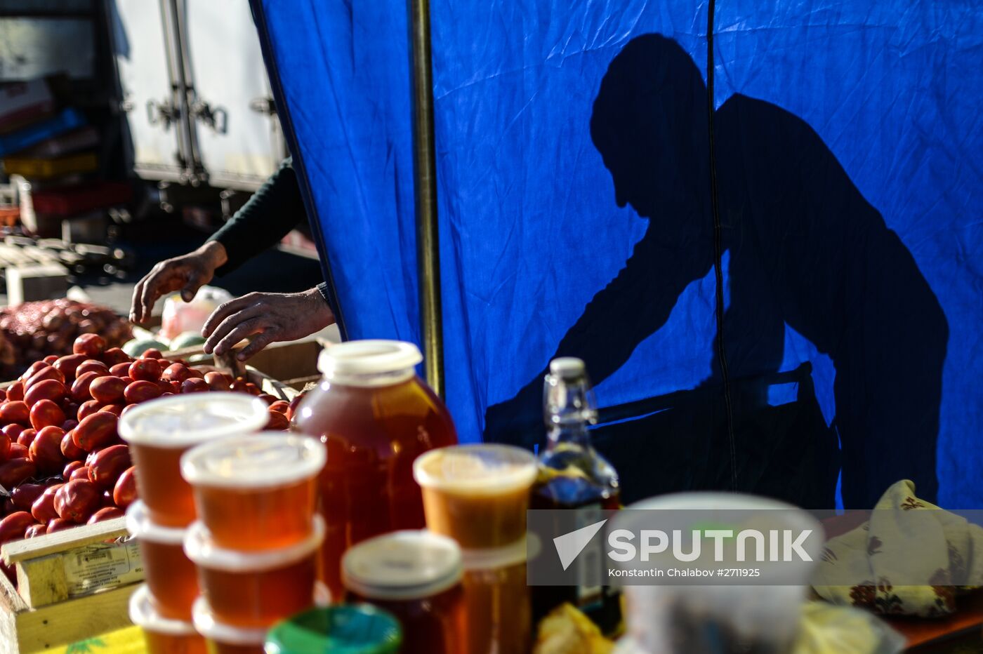 Agricultural fair in Veliky Novgorod