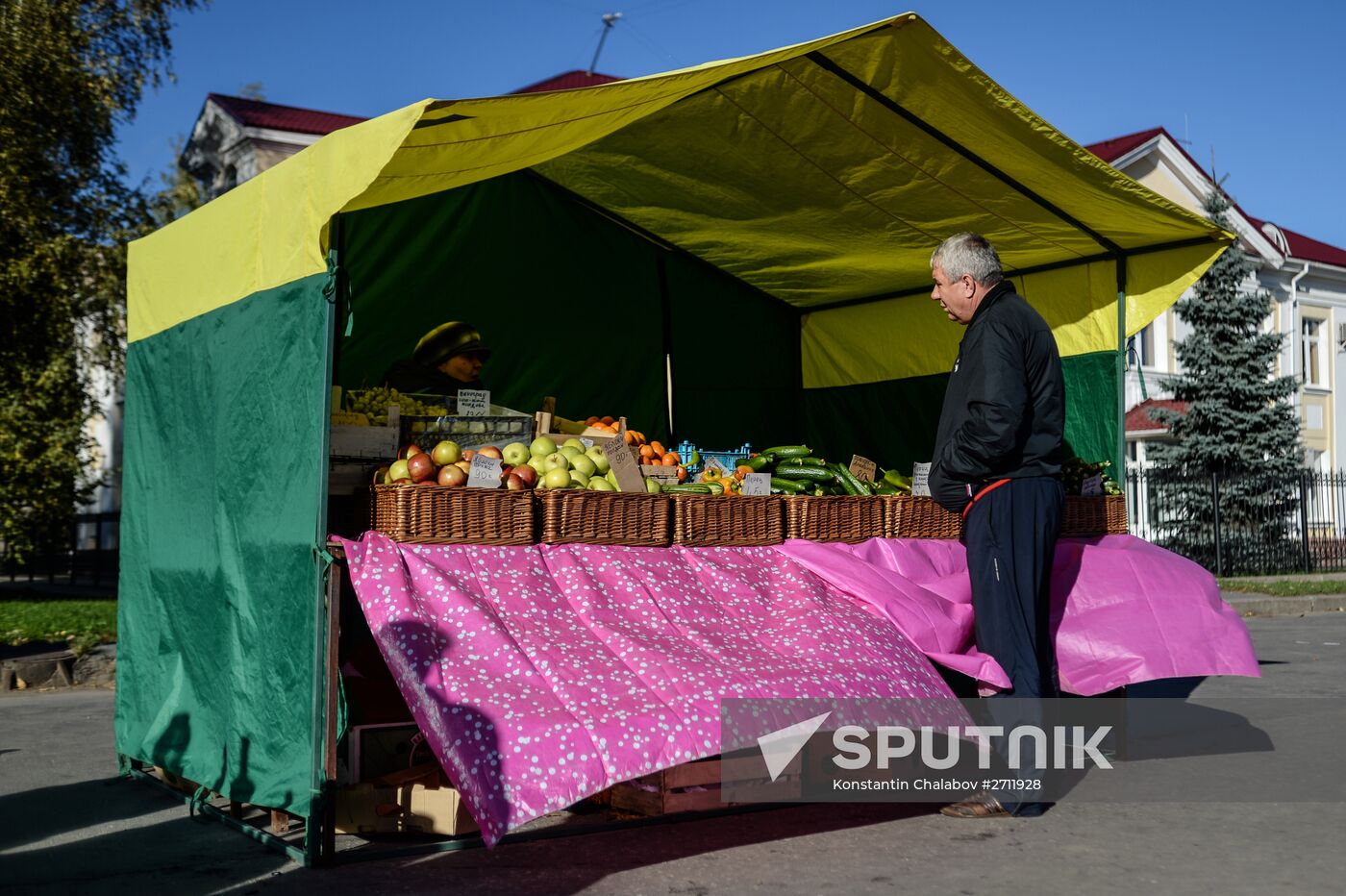 Agricultural fair in Veliky Novgorod