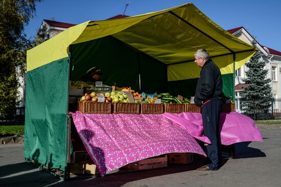 Agricultural fair in Veliky Novgorod