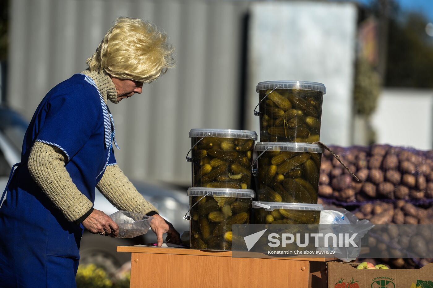 Agricultural fair in Veliky Novgorod