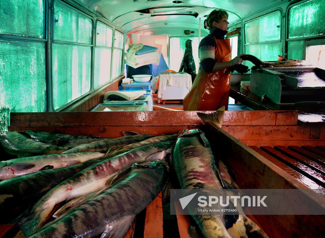 Barabashevsky salmon farm
