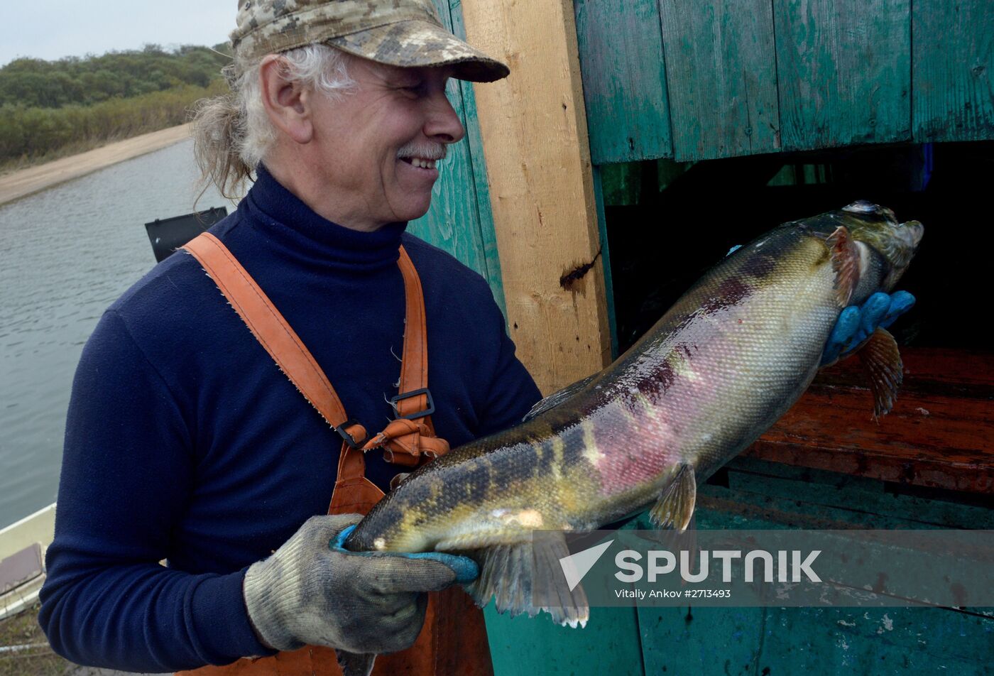 Barabashevsky salmon farm