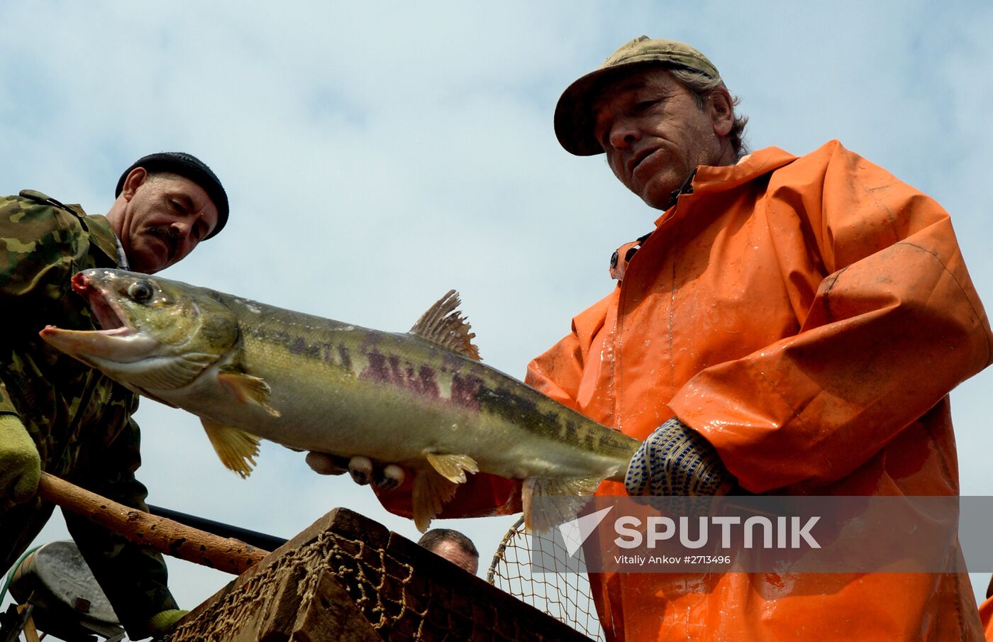 Barabashevsky salmon farm