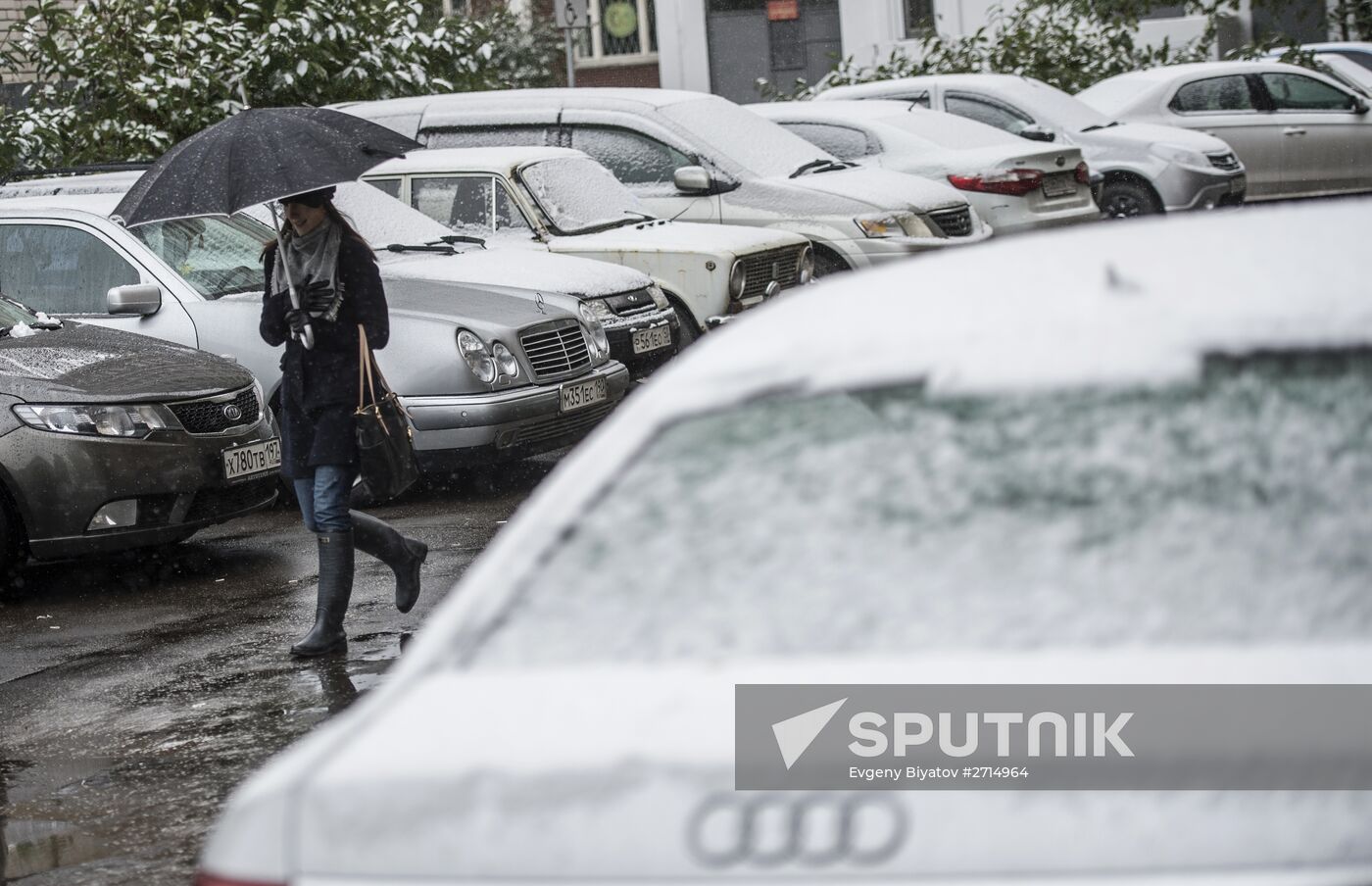 Snowfall in Moscow