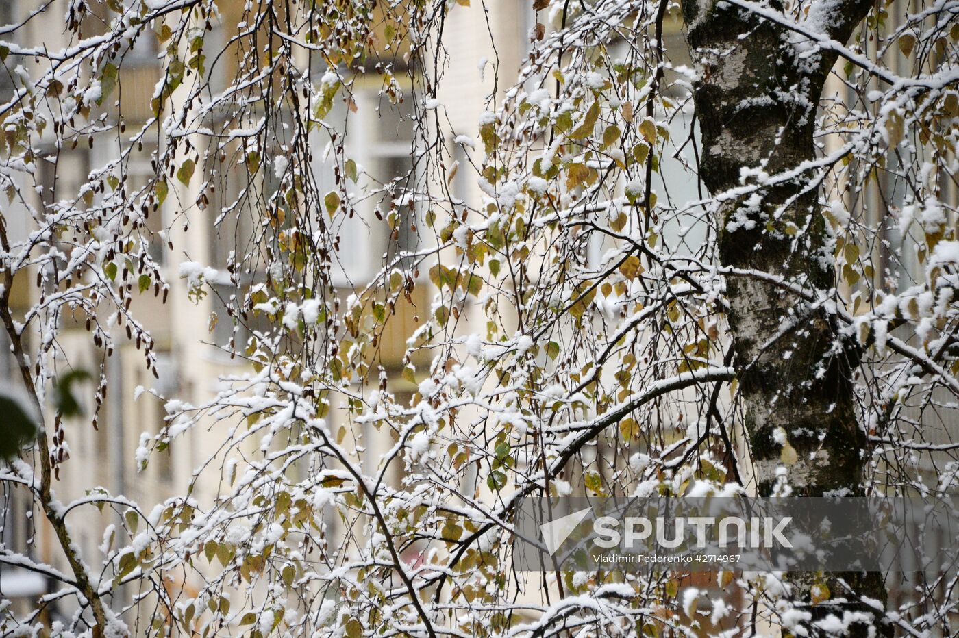 Snowfall in Moscow