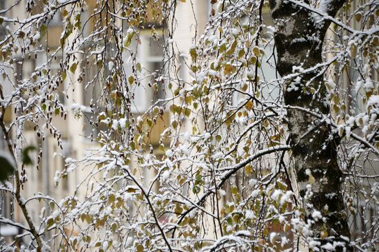 Snowfall in Moscow