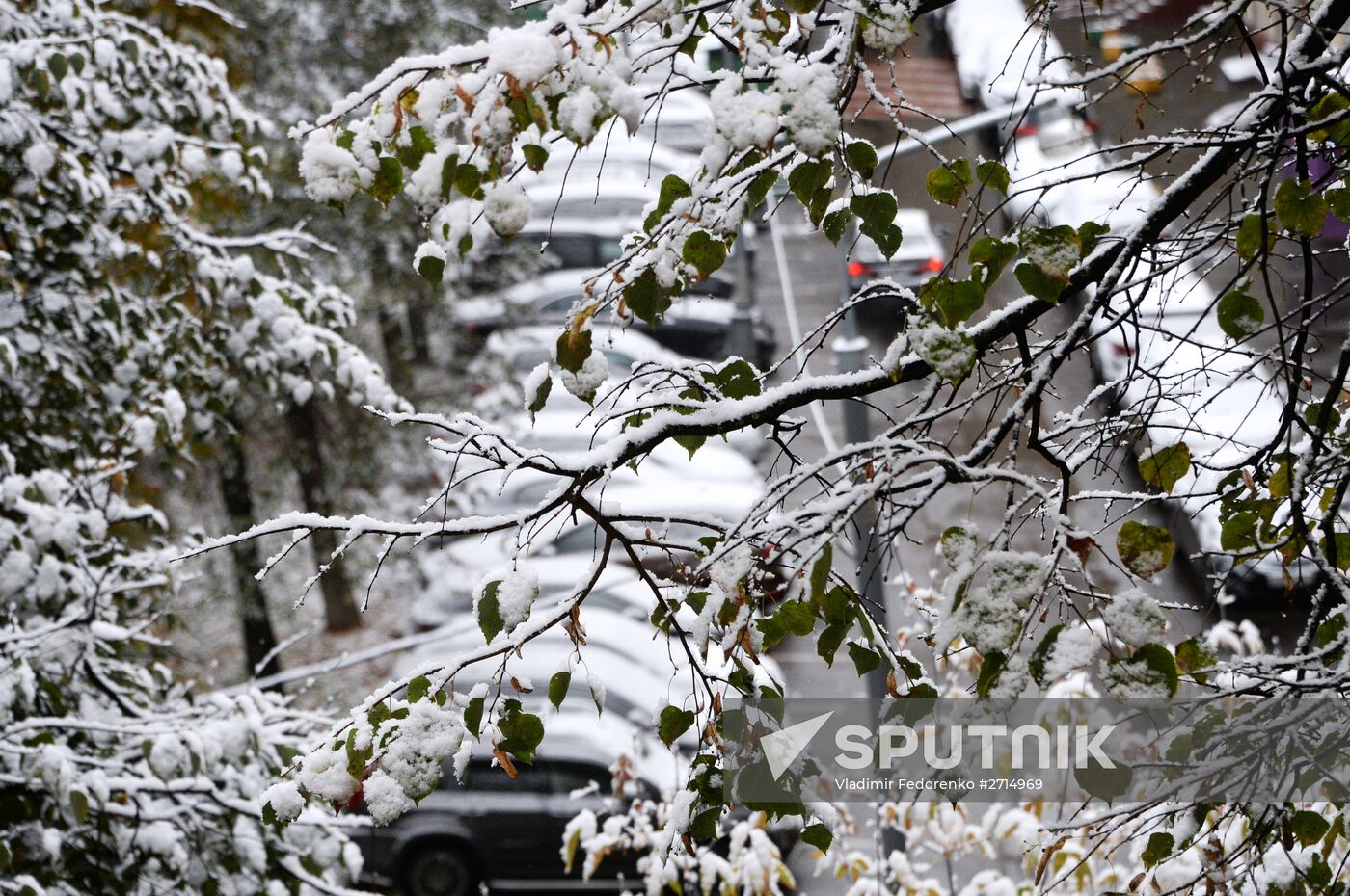 Snowfall in Moscow