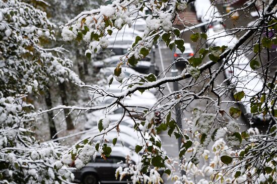 Snowfall in Moscow