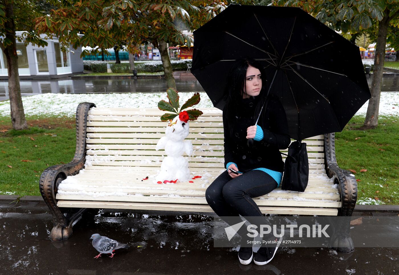 Snowfall in Moscow