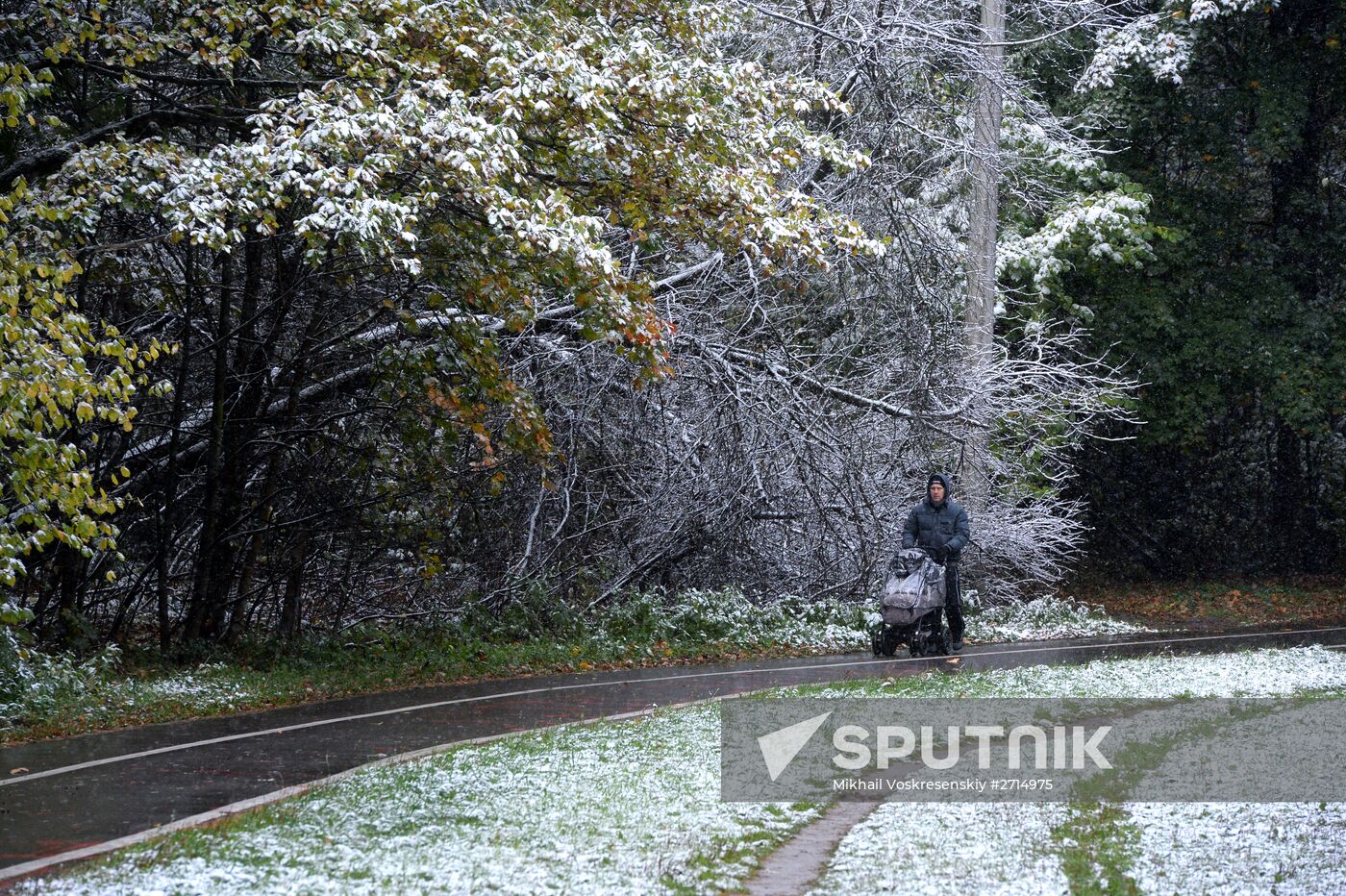 Snowfall in Moscow