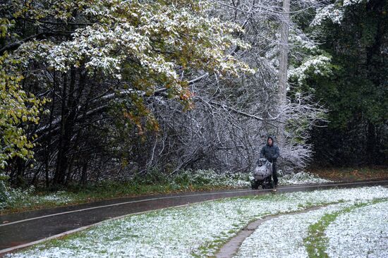 Snowfall in Moscow